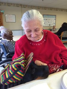 therapy dogs kennett Square