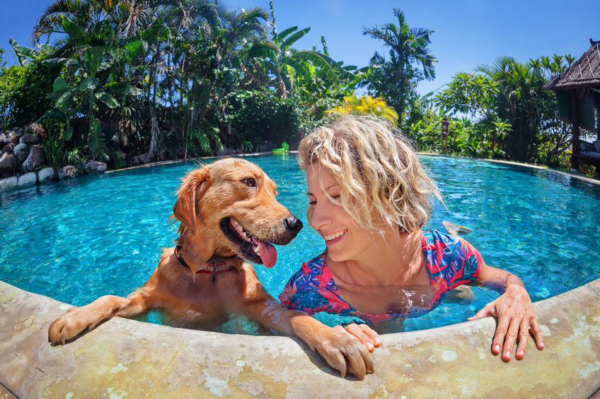 Keep your pup safe this summer with Longwood's summer pet safety tips.