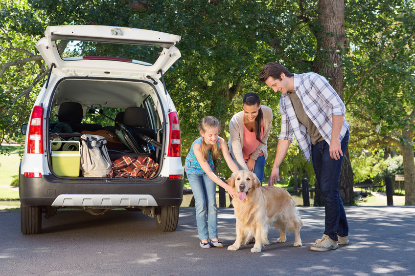 Dog motion sickness can make road trips difficult, but the Longwood staff is here to help ensure your vacation success