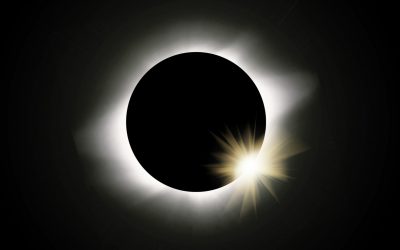 Safeguarding Animals During the Solar Eclipse