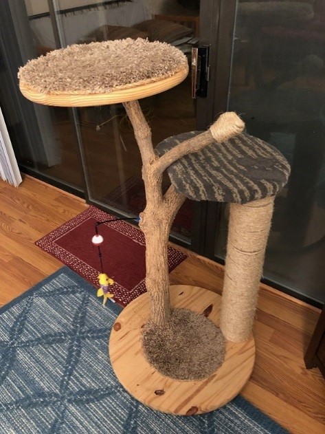 Keeping Cat Content: Part Three: Perches and Scratching Posts Galore