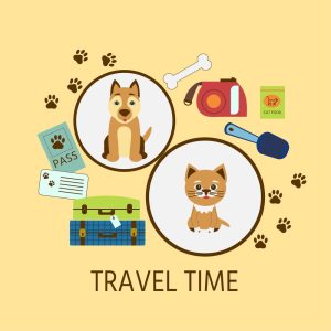 What You Need to Know When Flying with Your Pet