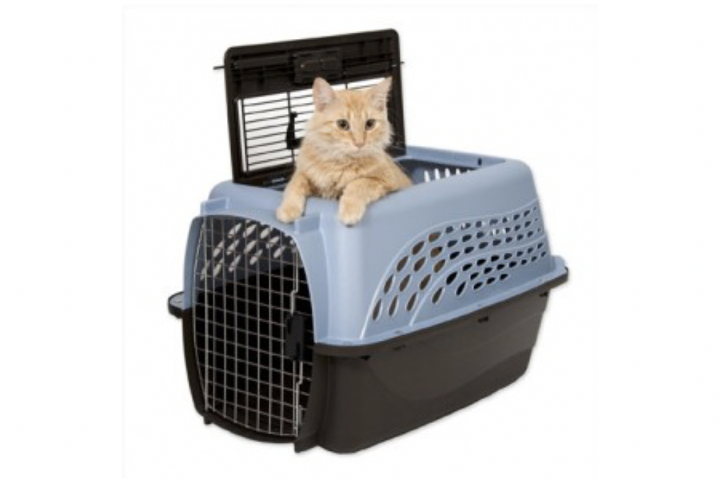 How to get a scared outlet cat into a carrier