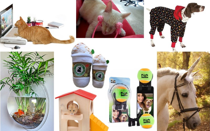 Hilarious Gifts for Your Furry Friends