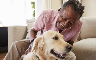 Pet Ownership– A Mutually Beneficial Relationship
