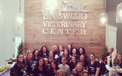 We Survived the 2019 Longwood Veterinary Center Renovations Party!