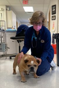 The staff at Longwood Veterinary Center is committed to caring for pets during COVID-19.