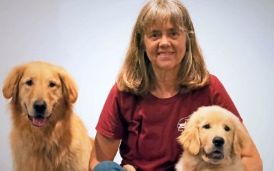 Puppy Training During Social Isolation