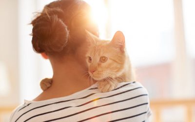 Dogs and Cats Can Help Reduce Stress