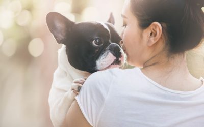 5 Important Reasons to Spay and Neuter Your Pets