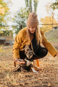 Pet socialization is most effective when started early