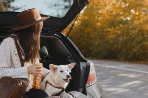 Traveling with Pets– Tips From Your Kennett Square Veterinarian