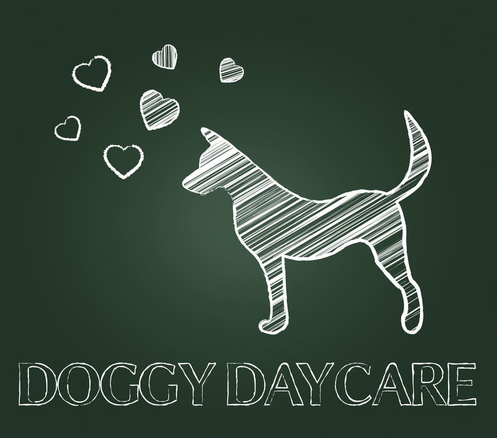 Three Ways to Prep for Doggy Daycare