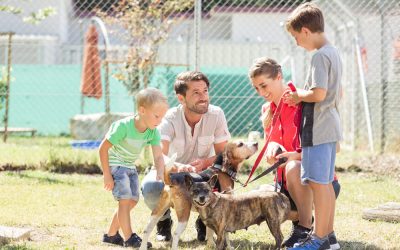 Top 5 Reasons to Celebrate Adopt a Shelter Dog Month