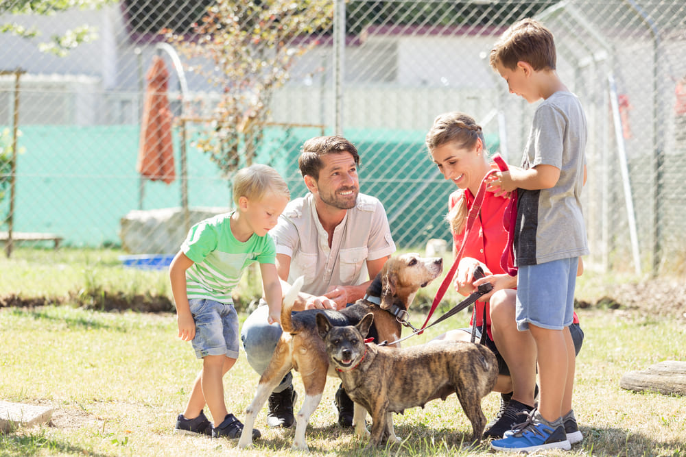 A happy family walking dogs at an animal shelter during Adopt a Shelter Dog Month.