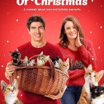 Best Hallmark Christmas Movie - Nine Kittens of Christmas